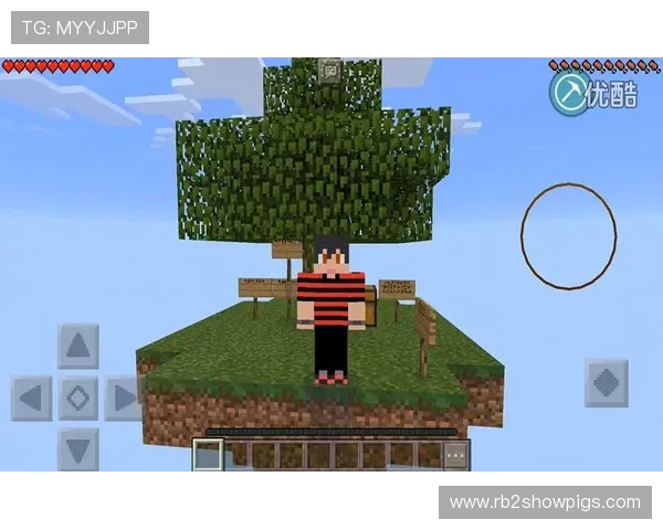 凯发首页地址的主要功能介绍及其在游戏中的应用优势分析