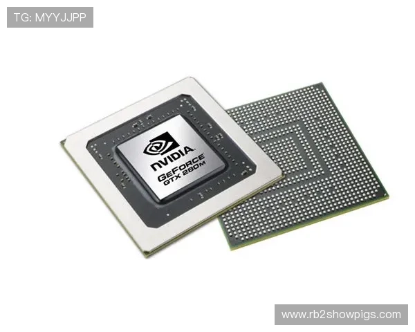 PA骰子在娱乐与专业领域的不同用途详解 PA骰子在娱乐与专业领域的不同用途详解