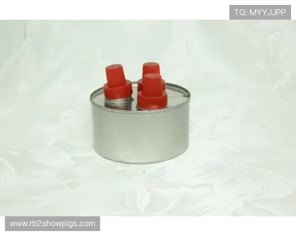 掌握凯发娱网址是什么，获取官方最新入口及防范网络风险的技巧