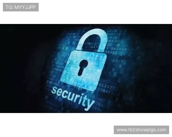 解密凯发登陆手机的安全性能,为您的账号保驾护航 解密凯发登陆手机的安全性能,为您的账号保驾护航