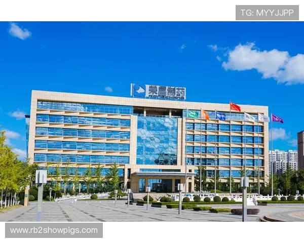 K8凯发中国打造天生赢家·一触即发的创新游戏平台，开启无限可能的娱乐新篇章