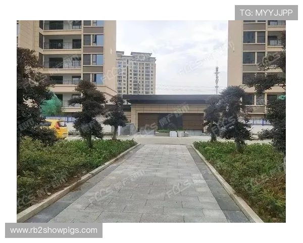 凯发官网登录地址在哪获取最全的官方入口及登录流程详解 凯发官网登录地址在哪获取最全的官方入口及登录流程详解