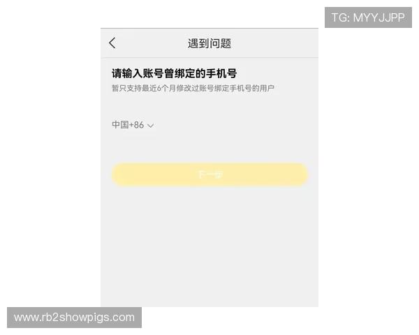 凯发手机会员登录不了的情况下，用户应采取的有效应对措施