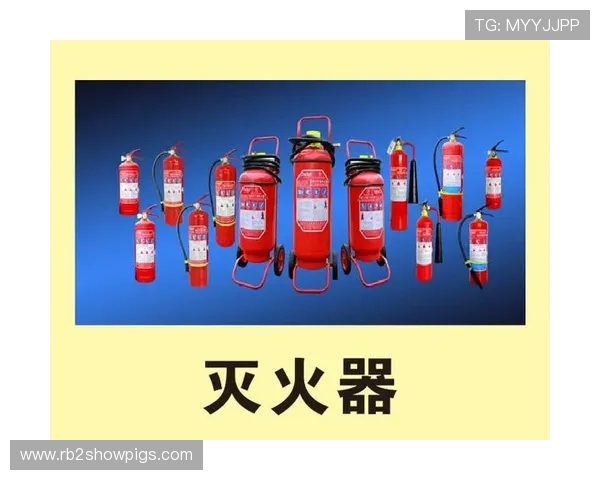 k8凯发·娱乐(中国)首页登录入口：登录流程中的常见安全验证步骤详解