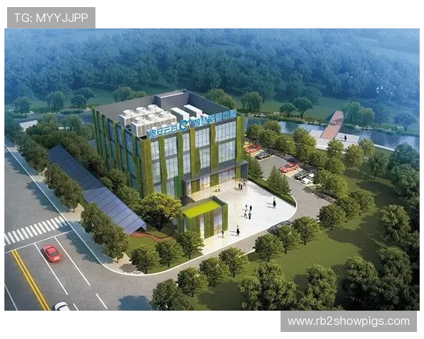 凯发K8.com登录娱乐平台打造专业可靠的线上博彩平台满足不同玩家的多样需求