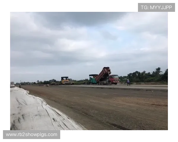 全面解析K8网站的注册流程与账号安全保障措施