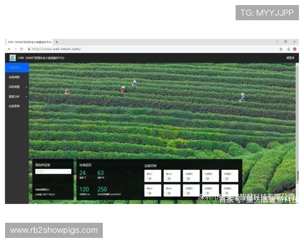 凯发平台多平台兼容支持实现无缝游戏体验的技术方案