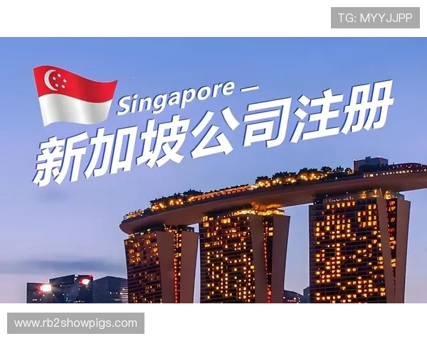 凯发真人版会员注册指南全面解析快速完成注册步骤