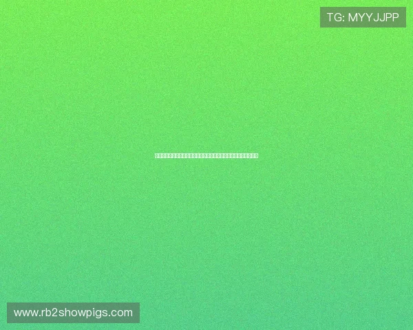 凯发娱乐平台客服服务体系详解为玩家提供全方位的专业支持与帮助