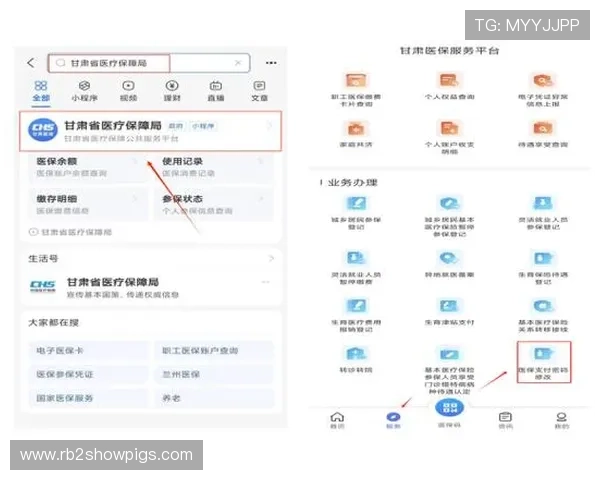 凯发体育备用平台官网登录账号忘记密码的快速找回方法，保障用户账号安全的详细步骤