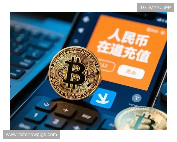 比特币赌场风险分析:投资比特币赌博前必须了解的潜在风险与防范措施 比特币赌场风险分析:投资比特币赌博前必须了解的潜在风险与防范措施