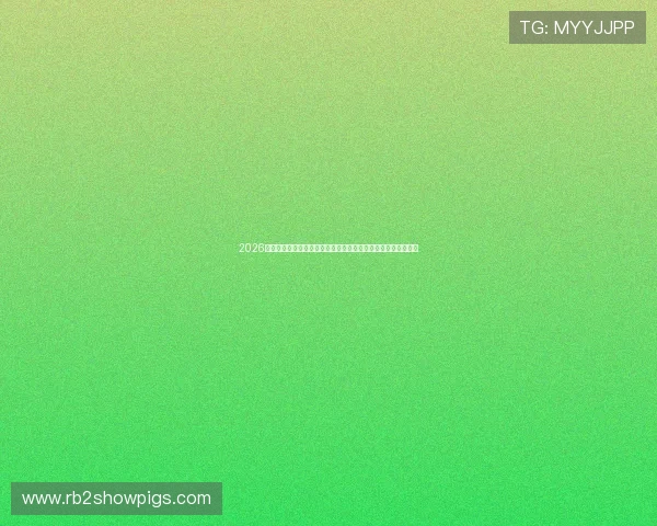 2026世界杯土耳其与巴拉圭比赛胜率分析:球队状态与战术布局详解 2026世界杯土耳其与巴拉圭比赛胜率分析:球队状态与战术布局详解