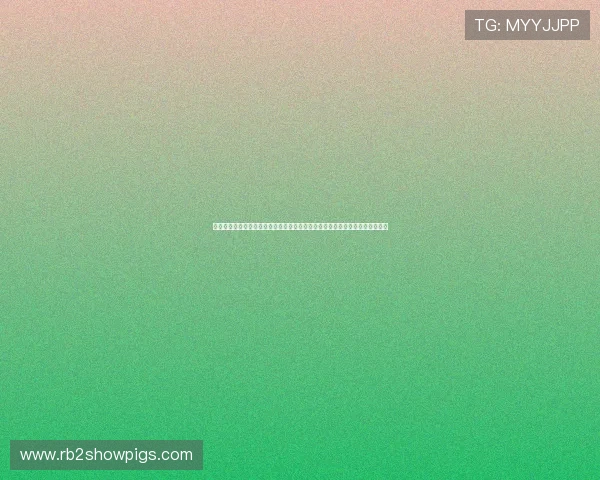 比利时对伊朗球员采访:了解伊朗队员的世界杯心态与比利时队的备战经验分享
