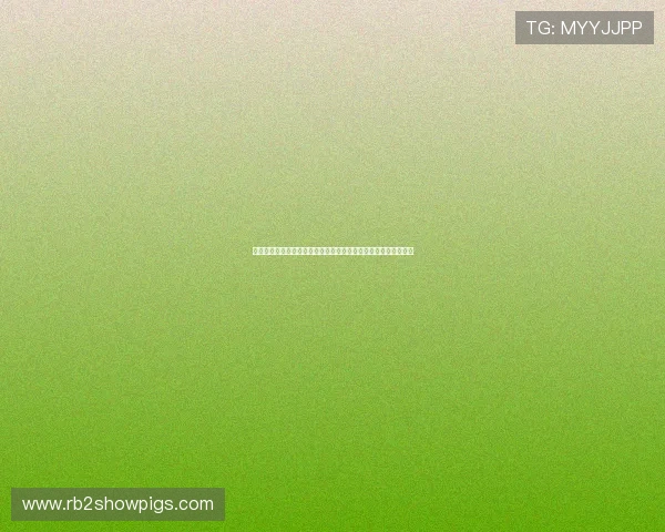 海地与苏格兰世界杯比赛回放完整版,赛事亮点与关键时刻全纪录